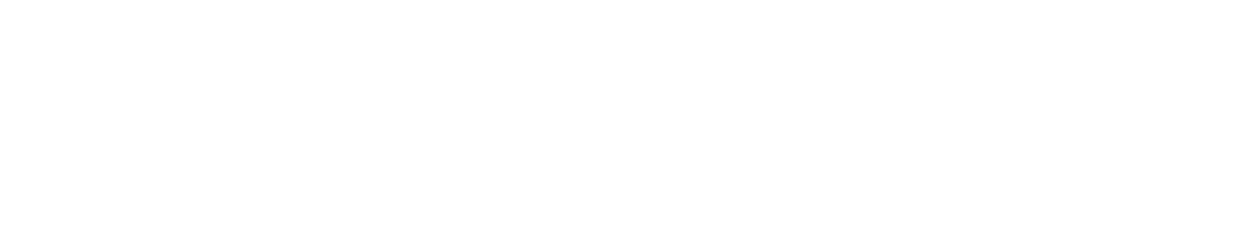 logo de velo quebec blanc