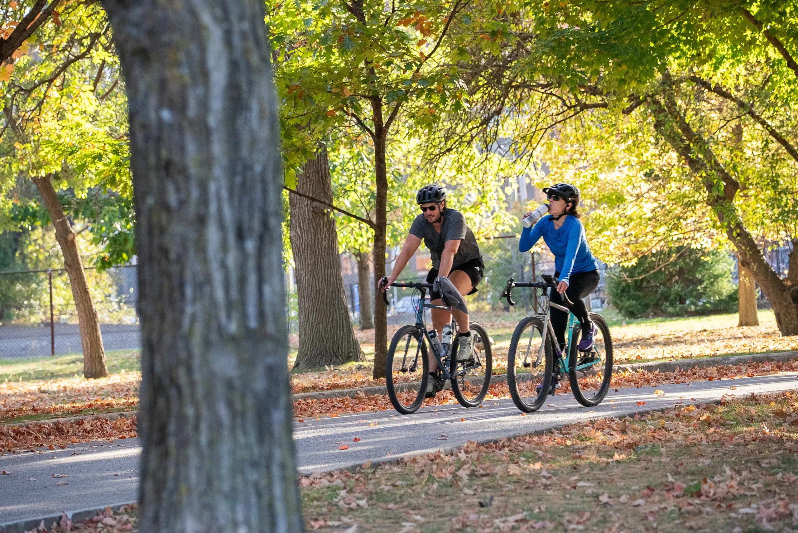 Du vélo dans les bois