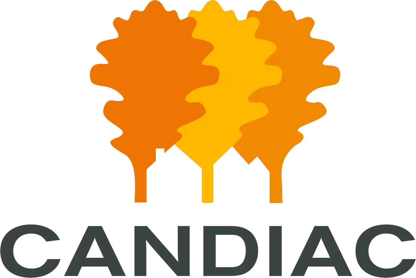 Logo de l'organisation